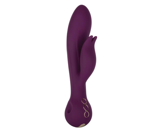 Фиолетовый вибратор-кролик Desire - 22,25 см., фото 