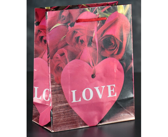 Подарочный пакет Love с розочками и сердечками - 23 х 18 см., фото 