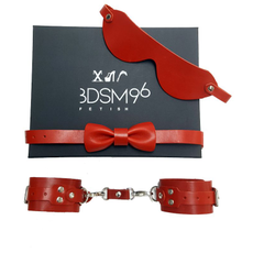 БДСМ-набор в красном цвете "Джентльмен", фото 