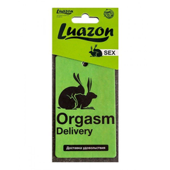 Ароматизатор в авто «Orgasm» с ароматом мужского парфюма, фото 