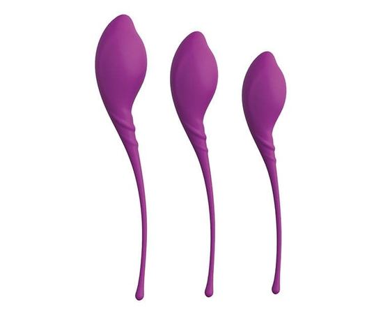 Набор из 3 фиолетовых вагинальных шариков PLEASURE BALLS & EGGS KEGEL EXERCISE SET, Цвет: фиолетовый, фото 